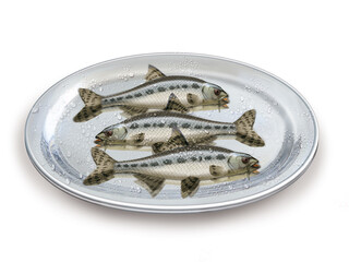 goujon ,  poisson, plateau, pêche, aliment, frais, fruits de mer, mer, animal, ailette, sain, queue, fond blanc, argent, attraper, repas, cuisiner, plat, viande, fraîcheur