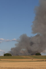 Fototapeta na wymiar Wiltshire landscape Marlborough Downs. Crop fire behind ancient tree clips