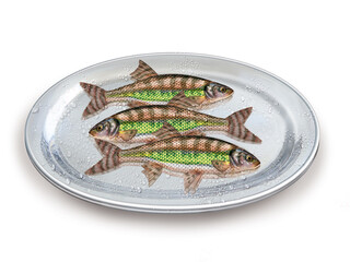 varion  ,  poisson, plateau, pêche, aliment, frais, fruits de mer, mer, animal, ailette, sain, queue, fond blanc, argent, attraper, repas, cuisiner, plat, viande, fraîcheur