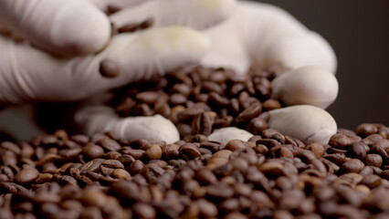 View roasted coffee grains on palm in white gloves close up. Hands holding seeds