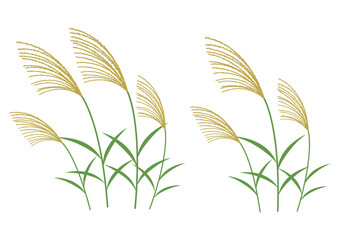 秋_ススキ_イラスト_セット