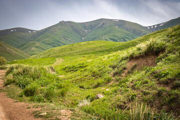 landscape in the mountains, tree, kyrgyzstan, central asia
