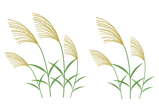 秋_ススキ_イラスト_セット