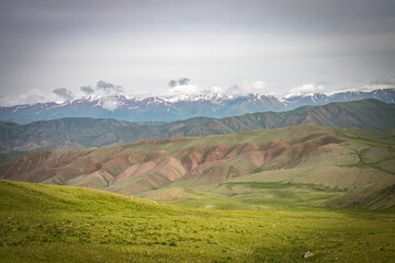 jalgyz karagay pass, mountain area in kyrgyzstan, central asia, summer pasture