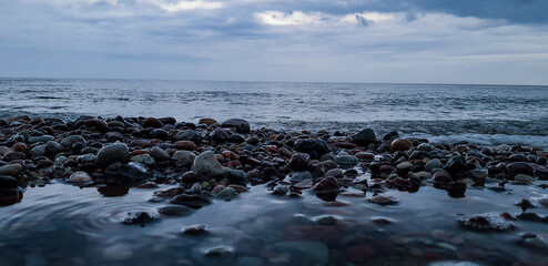 seagulls at the beach