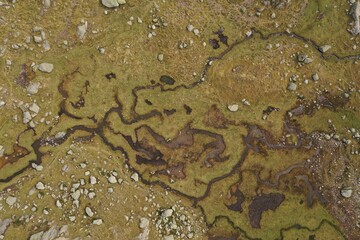 estuaries of a lagoon