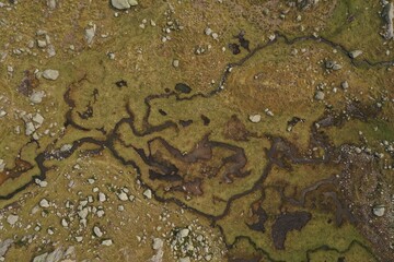 estuaries of a lagoon