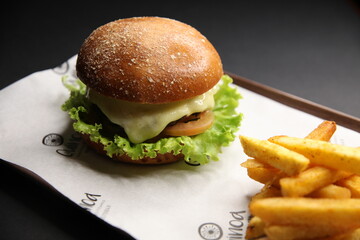 hamburger and fries close up front view