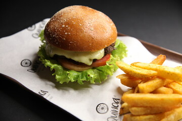 hamburger and fries close up front view