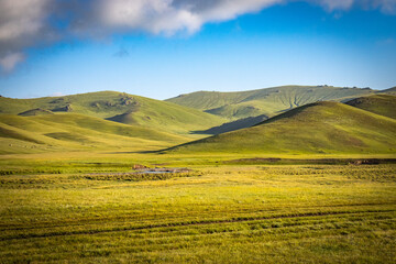 Fototapeta na wymiar summer pasture, kyrgyzstan, mountains, early morning light, central asia, near song-köl lake