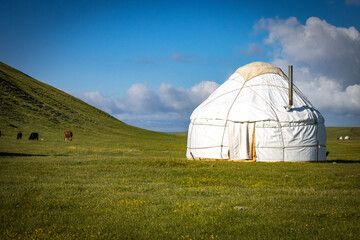 yurt near near song-köl lake, kyrgyzstan, central asia, tent, camping