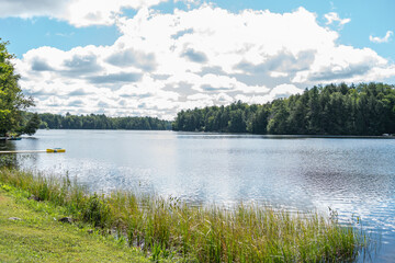 Fototapeta premium landscape with lake