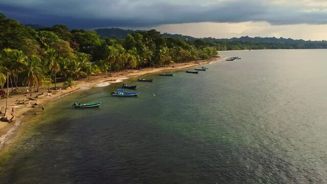 stock video of drone view of beach along with tropical jungle