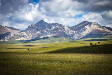 mountain landscape in kyrgyzstan, central asia, clouds, summer pasture