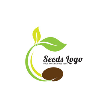 Growing seed logo design template. Fit for wheat farm, natural harvest, agronomy, rural country farming field.