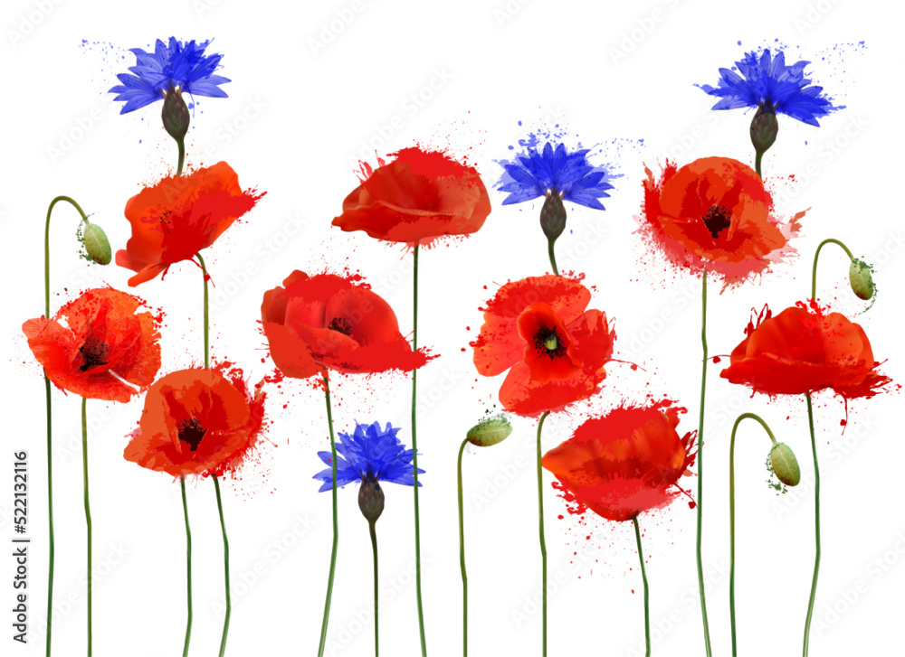 Poster abstract beautiful background with red poppies and blue cornflowers. vector.
