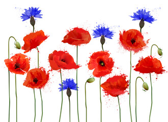 Abstract beautiful background with red poppies and blue cornflowers. Vector.