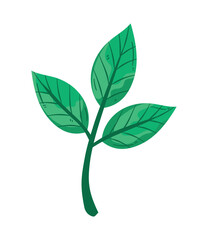 ecology branch with leafs