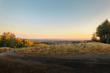 sunset in the forest