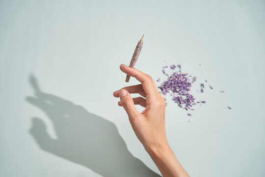 Making marijuana substitute joint with lilac flowers