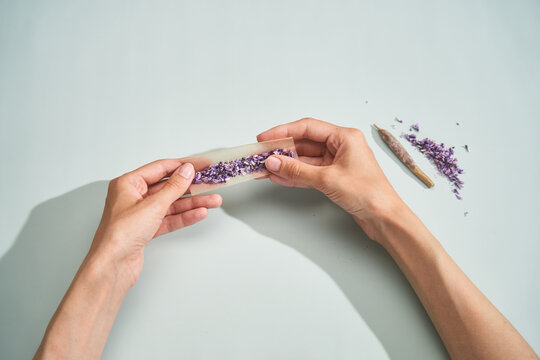 Making marijuana substitute joint with lilac flowers