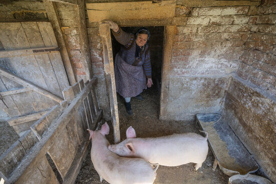 Senior Woman Farmer