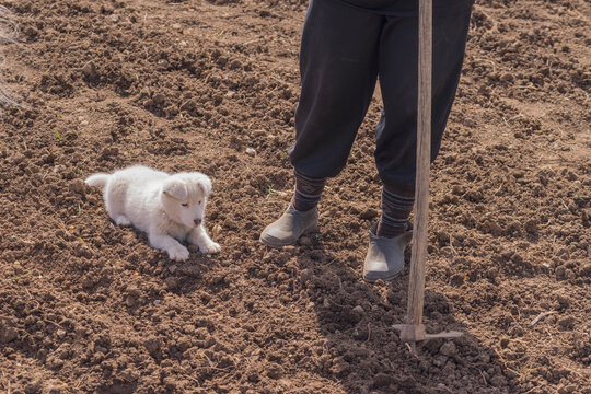 Senior Farmer