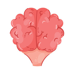 brain human organ healthy