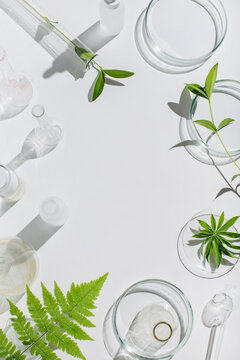 Laboratory glassware, Petri dishes,cosmetic glass bottles on white background. Natural medicine, cosmetic research, bio science, organic skin care products. Top view, flat lay, copy space. Dermatology