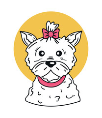 dog with pink bowtie