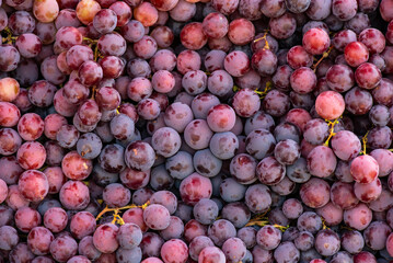 Red grapes grape fruits fruit background