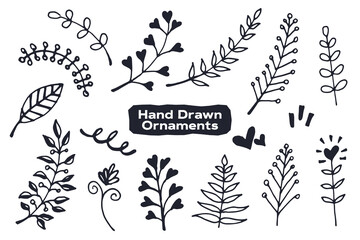 Hand Drawn Ornaments Vector Elegant And Luxury Elements Set
