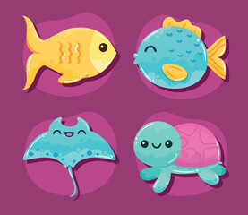 four cute sealife animals
