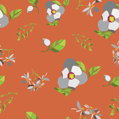 Obraz na płótnie Canvas White flowers with orange background . Nature pattern