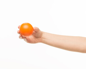 female hands holding an orange sponge ball on a white background isolated
