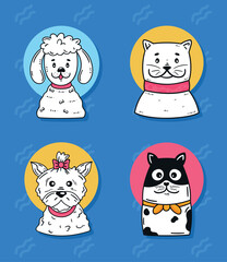 four dogs in blue background