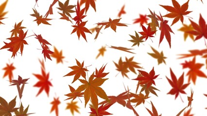 カエデの葉が舞い落ちる背景イラスト