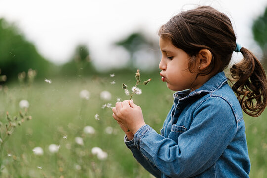 Girl with dark hair blowing off seeds from flower