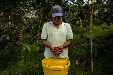 holding Coffee Beans