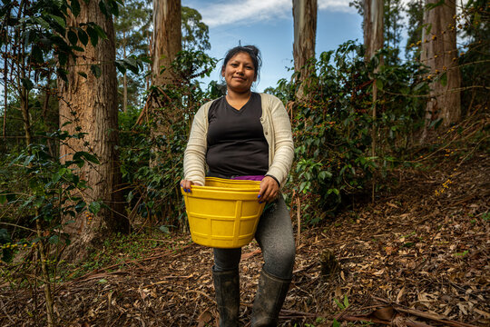 coffee farmer 