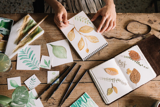 Hands Painting Leaves With Watercolours