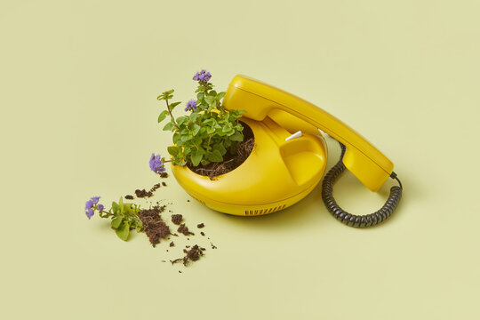 Vintage yellow telephone with flowers