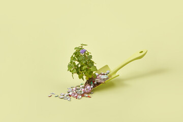 Indoor plant on trowel