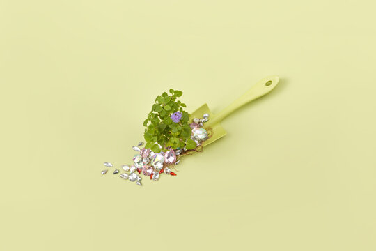 Green plant with gems