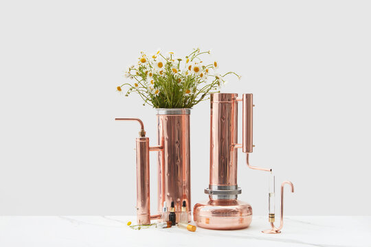 Alembic apparatus for distilling essential oil