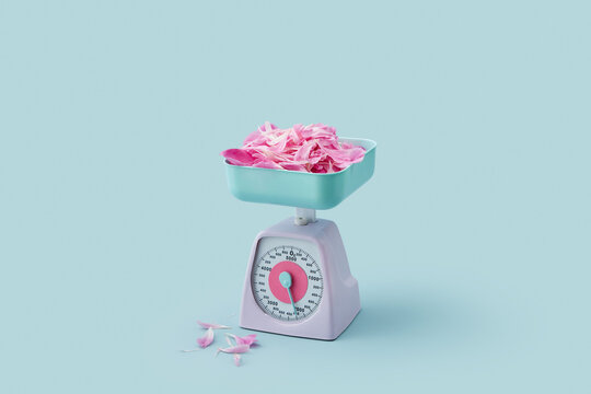 Pink peony petals on vintage scales.