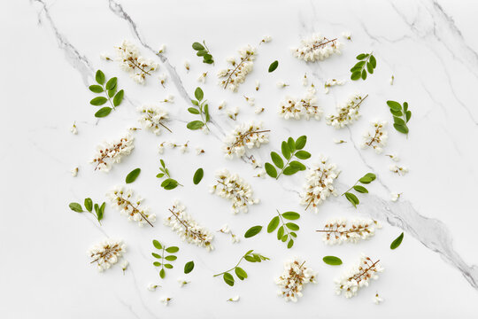 Acacia flowers and leaves over marble surface.