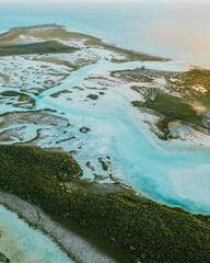 Aerial view of mangroves on caribbean island