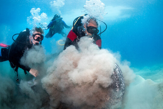 Group of People Cleaning the Ocean from Trash