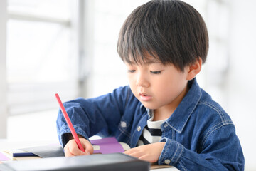 Boys studying and doing crafts Lower grades